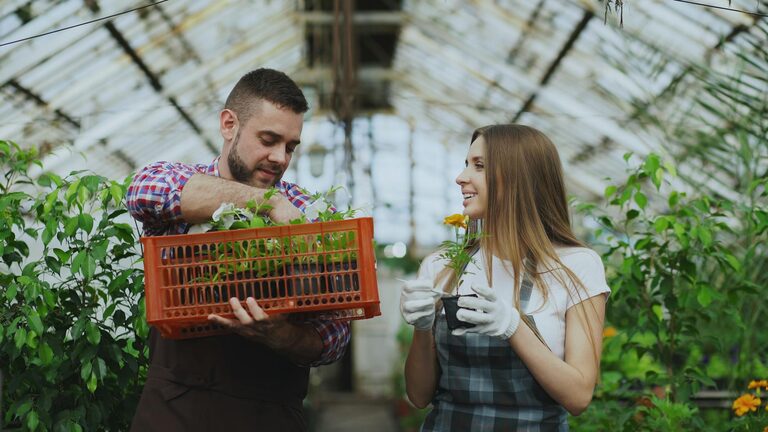 How to Create a Sustainable and Enjoyable Home Garden Year-Round