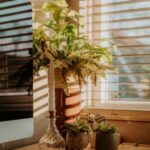 Tips for Creating a Relaxing Home Workspace to Boost Productivity and Well-being
